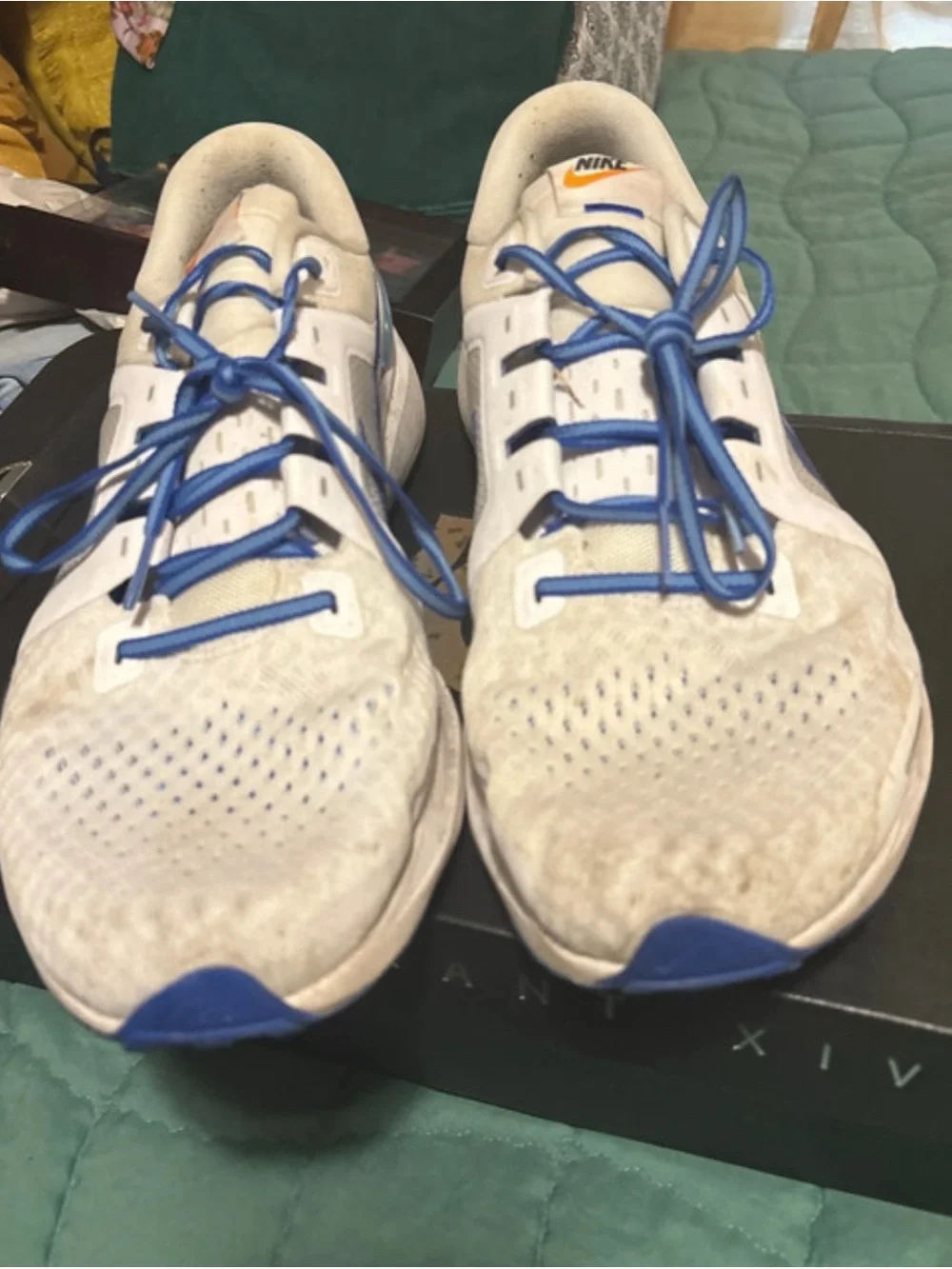 Nike running sneakers